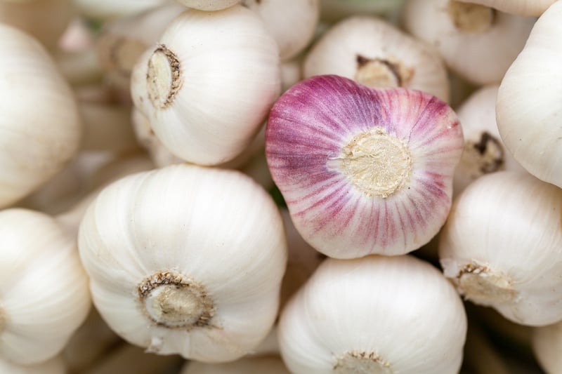 Garlic and Rosemary